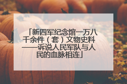 新四军纪念馆一万八千余件（套）文物史料——诉说人民军队与人民的血脉相连
