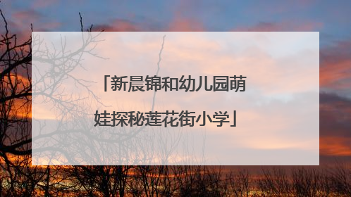 新晨锦和幼儿园萌娃探秘莲花街小学