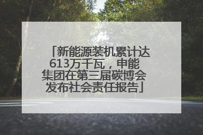 新能源装机累计达613万千瓦，申能集团在第三届碳博会发布社会责任报告