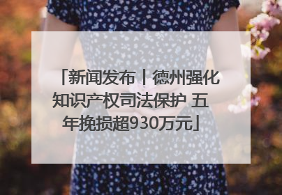 新闻发布丨德州强化知识产权司法保护 五年挽损超930万元