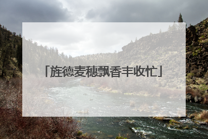 旌德麦穗飘香丰收忙