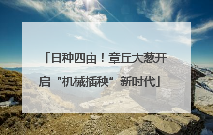 日种四亩！章丘大葱开启“机械插秧”新时代