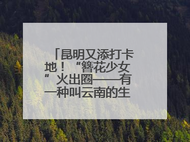 昆明又添打卡地！“簪花少女”火出圈——有一种叫云南的生活之365天