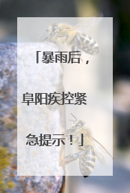 暴雨后，阜阳疾控紧急提示！