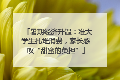 暑期经济升温：准大学生扎堆消费，家长感叹“甜蜜的负担”