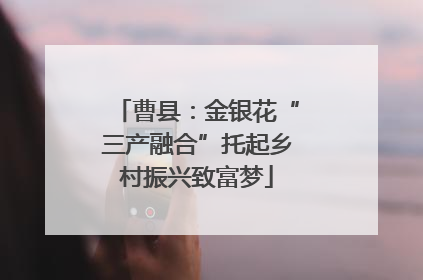 曹县：金银花“三产融合”托起乡村振兴致富梦