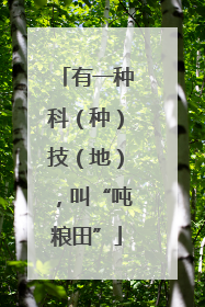 有一种科（种）技（地），叫“吨粮田”