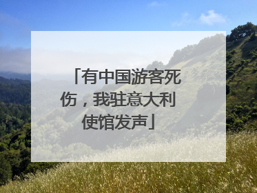 有中国游客死伤，我驻意大利使馆发声