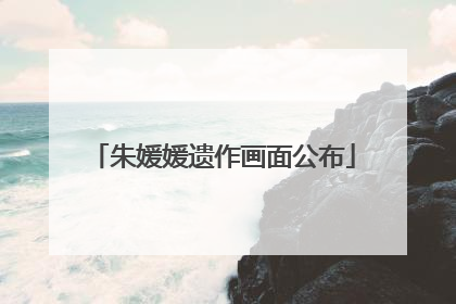 朱媛媛遗作画面公布