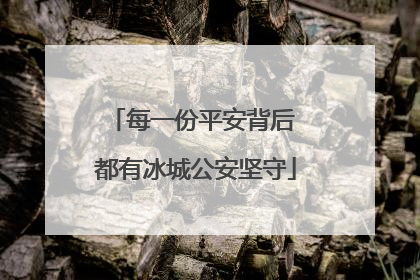 每一份平安背后 都有冰城公安坚守