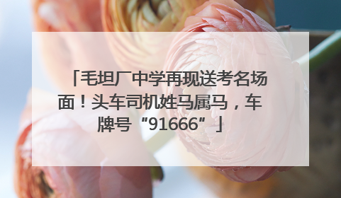 毛坦厂中学再现送考名场面！头车司机姓马属马，车牌号“91666”