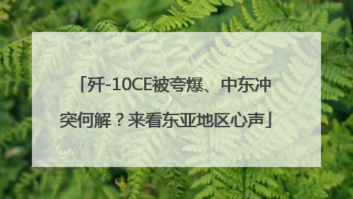 歼-10CE被夸爆、中东冲突何解？来看东亚地区心声