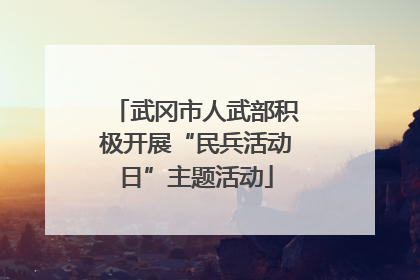 武冈市人武部积极开展“民兵活动日”主题活动