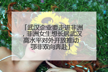 武汉企业要走进非洲，非洲女生想长居武汉 高水平对外开放推动鄂非双向奔赴