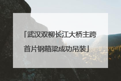 武汉双柳长江大桥主跨首片钢箱梁成功吊装