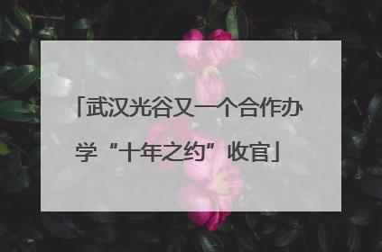 武汉光谷又一个合作办学“十年之约”收官