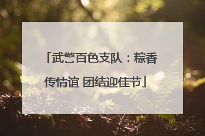 武警百色支队：粽香传情谊 团结迎佳节