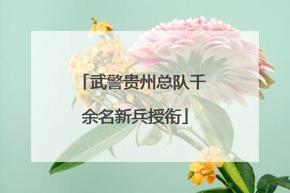 武警贵州总队千余名新兵授衔