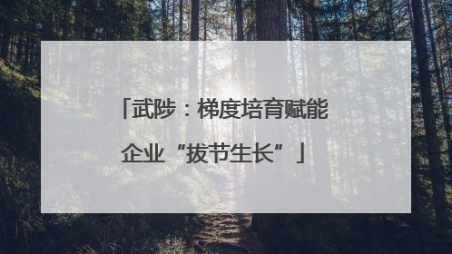 武陟：梯度培育赋能企业“拔节生长”