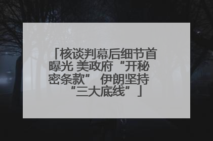 核谈判幕后细节首曝光 美政府“开秘密条款” 伊朗坚持“三大底线”