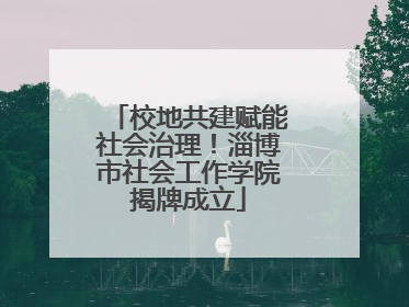 校地共建赋能社会治理！淄博市社会工作学院揭牌成立