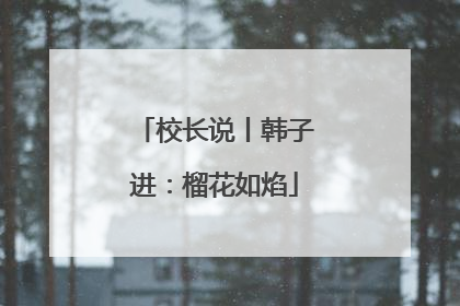 校长说丨韩子进：榴花如焰