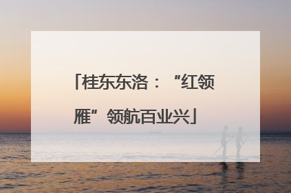桂东东洛：“红领雁”领航百业兴