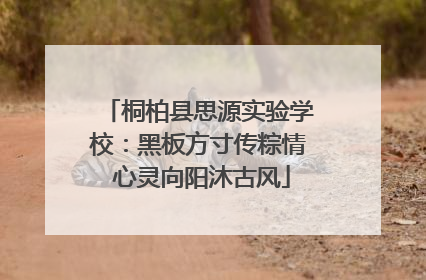 桐柏县思源实验学校：黑板方寸传粽情 心灵向阳沐古风