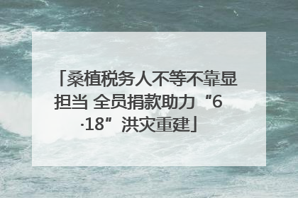 桑植税务人不等不靠显担当 全员捐款助力“6·18”洪灾重建