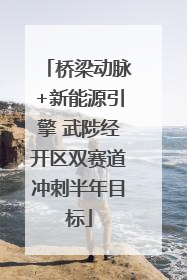 桥梁动脉+新能源引擎 武陟经开区双赛道冲刺半年目标