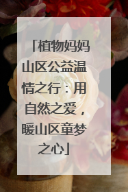 植物妈妈山区公益温情之行：用自然之爱，暖山区童梦之心