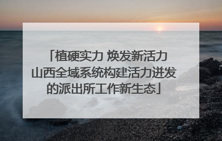 植硬实力 焕发新活力 山西全域系统构建活力迸发的派出所工作新生态