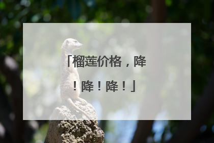榴莲价格，降！降！降！
