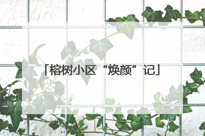 榕树小区“焕颜”记