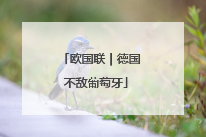 欧国联｜德国不敌葡萄牙