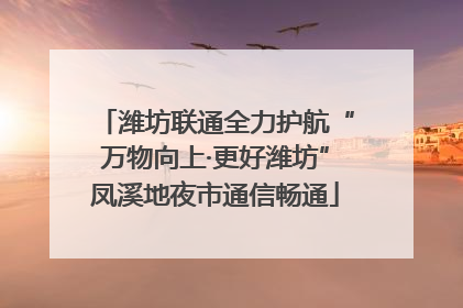 潍坊联通全力护航“万物向上·更好潍坊”凤溪地夜市通信畅通