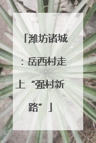 潍坊诸城：岳西村走上“强村新路”