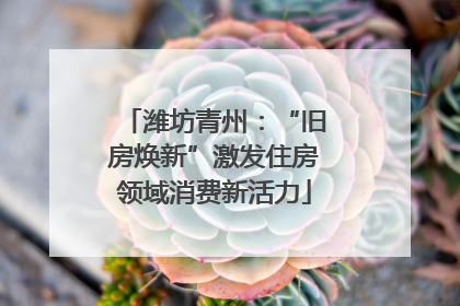 潍坊青州：“旧房焕新”激发住房领域消费新活力