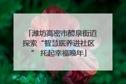 潍坊高密市醴泉街道探索“智慧医养进社区” 托起幸福晚年