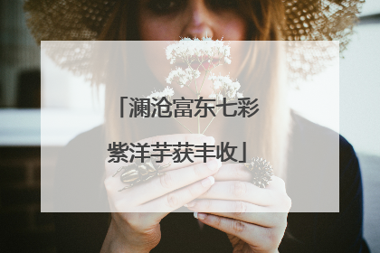 澜沧富东七彩紫洋芋获丰收