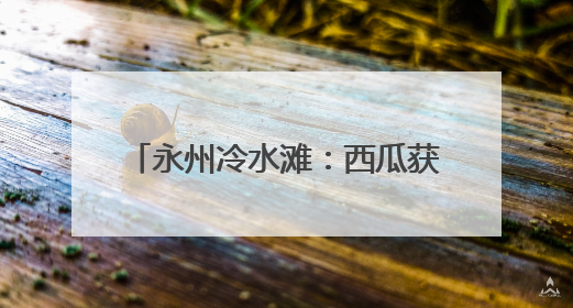 永州冷水滩：西瓜获丰收 瓜农笑开怀