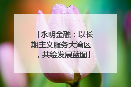 永明金融：以长期主义服务大湾区，共绘发展蓝图