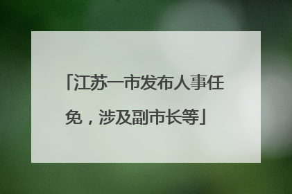 江苏一市发布人事任免，涉及副市长等