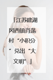 江苏建湖冈西镇肖荡村“小积分”兑出“大文明”