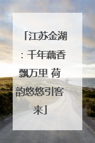 江苏金湖：千年藕香飘万里 荷韵悠悠引客来