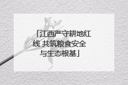 江西严守耕地红线 共筑粮食安全与生态根基