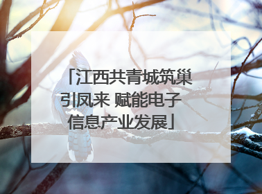 江西共青城筑巢引凤来 赋能电子信息产业发展