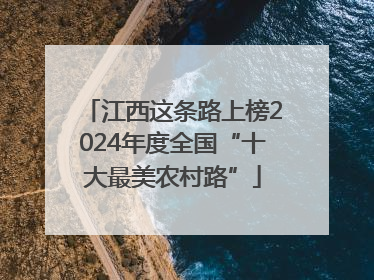 江西这条路上榜2024年度全国“十大最美农村路”