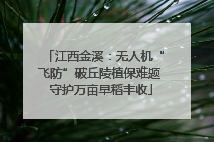 江西金溪：无人机“飞防”破丘陵植保难题 守护万亩早稻丰收