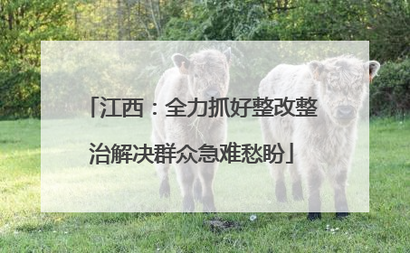 江西：全力抓好整改整治解决群众急难愁盼
